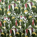 Amazon fabric in color Multi showcasing fabric outdoor floral fabric upholstery fabric.