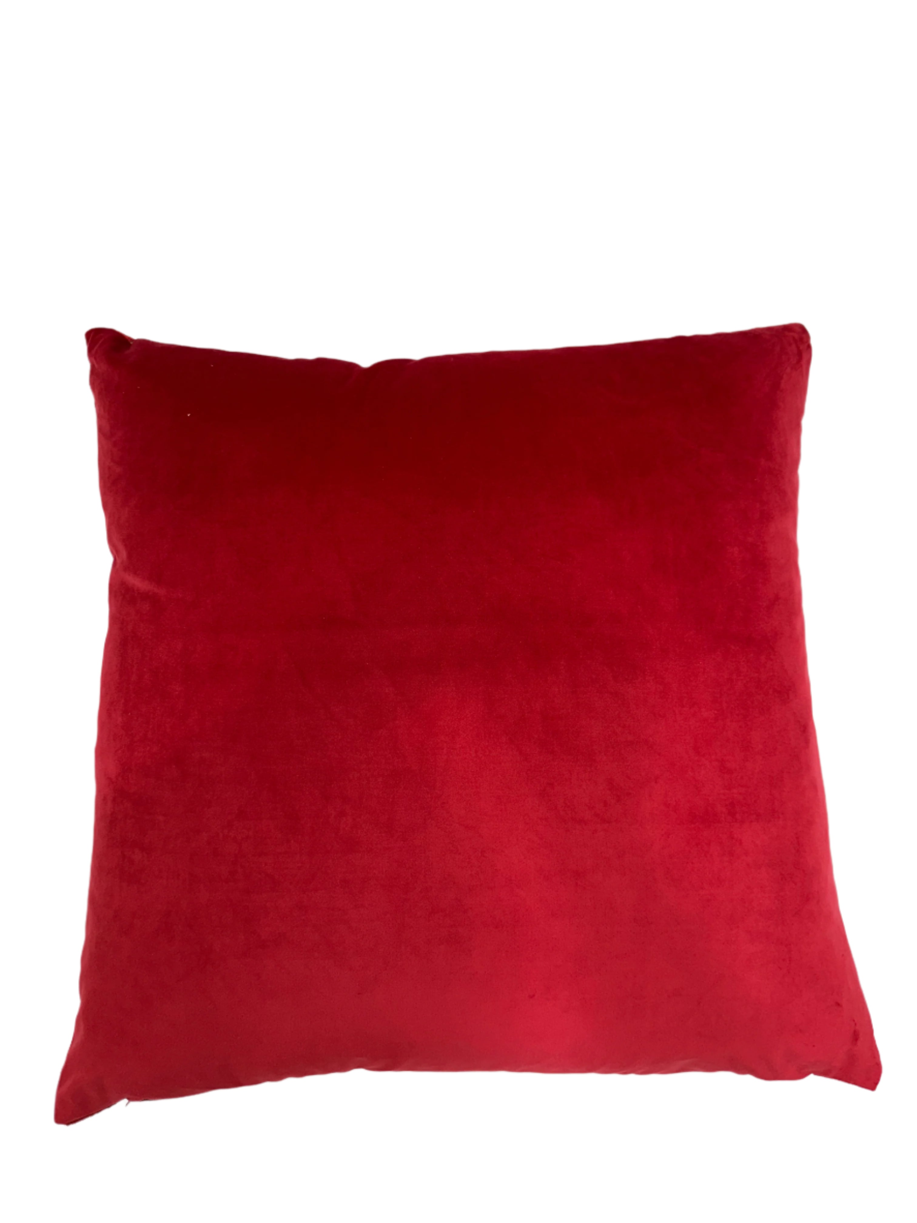 Alaya Decorative Throw Pillows | Size 23X23 | LIMITED QUANTITY LEFT