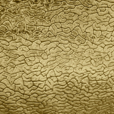 Galil fabric in color Gold showcasing fabric textured solid velvet upholstery fabric.