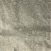 Jordana fabric in color Pewter showcasing fabric embroidered dotted velvet upholstery fabric & drapery & curtain fabric.