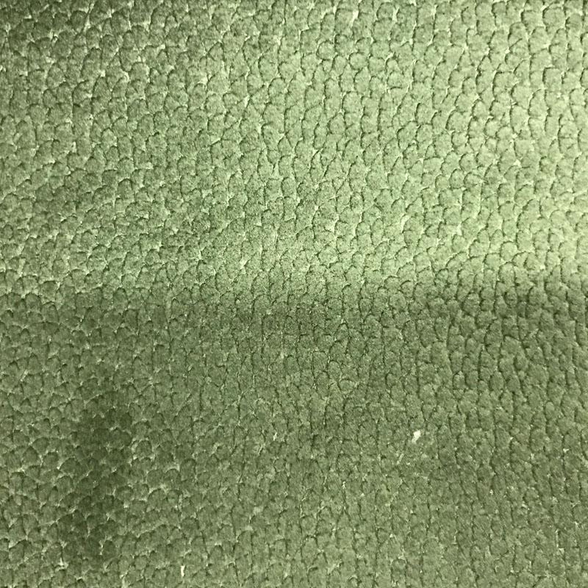 Liam fabric in color Forest showcasing fabric shiny animal skin cut velvet upholstery fabric & drapery & curtain fabric.