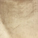Margo fabric in color Beige showcasing fabric metallic cut velvet upholstery fabric & drapery & curtain fabric.