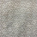 Neptune fabric in color Gray/Metallic showcasing fabric embroidered metallic swirl sheer drapery & curtain fabric.
